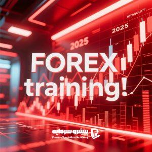 بهترین دوره های آموزش فارکس ۲۰۲۵ برای مبتدی ها